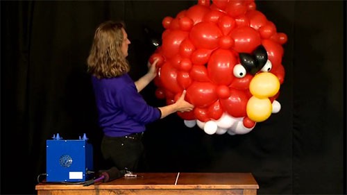 Balloon Red Bird Cartoon Course