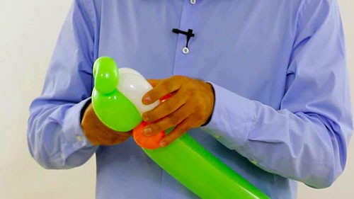 balloon twisting parrot